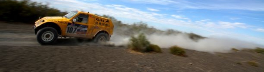 Desert Rallies